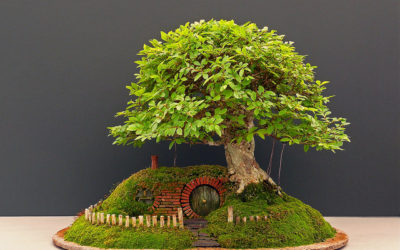 Bilbo Baggins’ Home Recreated with a Bonsai