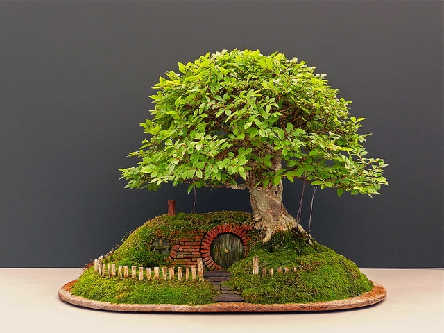 Baggins' home recreated with Bonsai