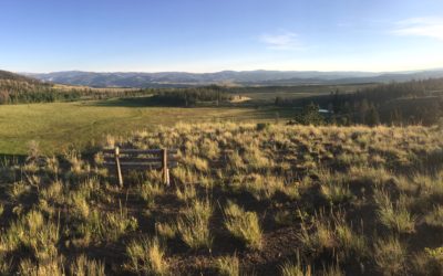 Dubois, Wyoming Cabin